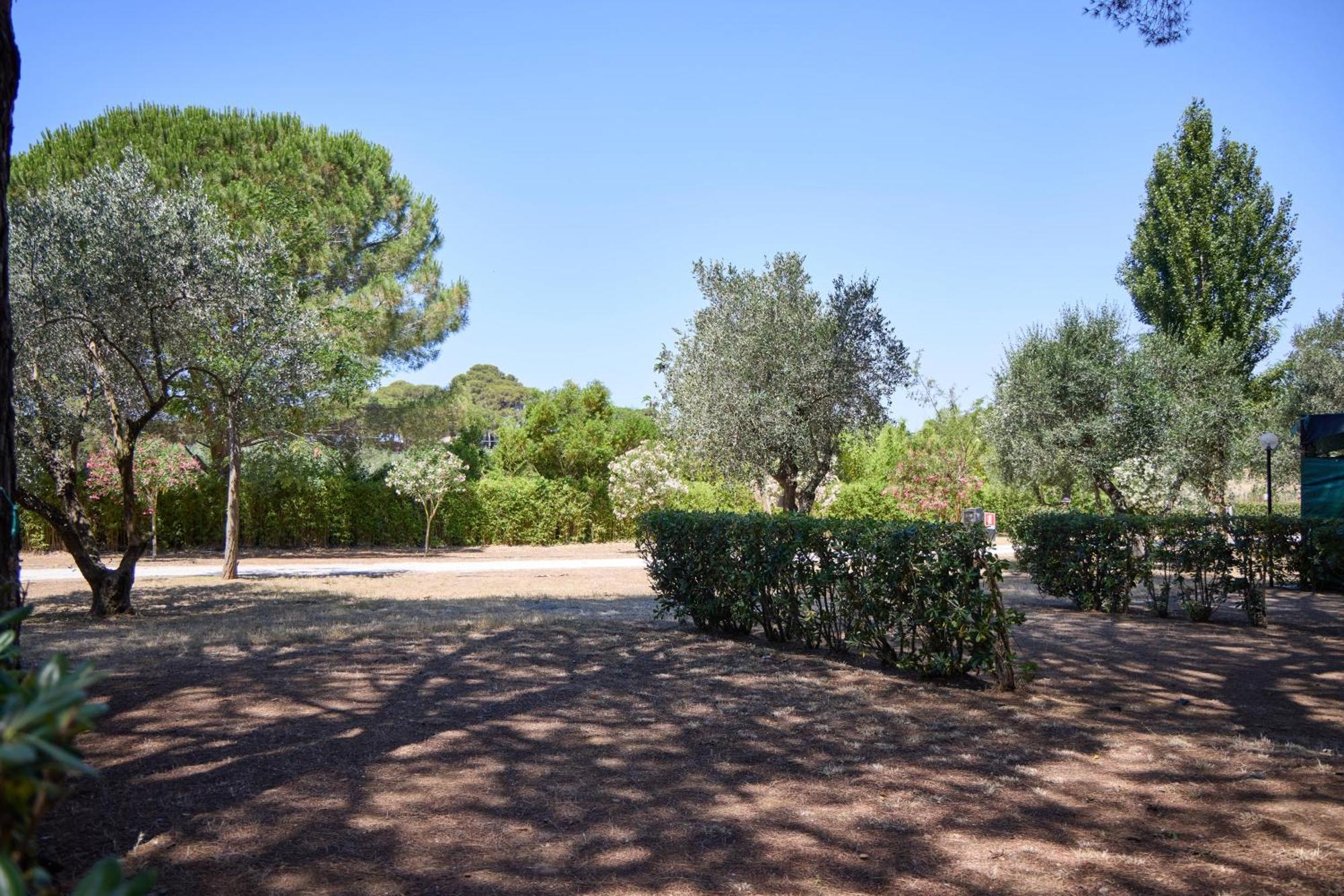 Costa D'Argento - Camping Village Club Capalbio Exterior photo