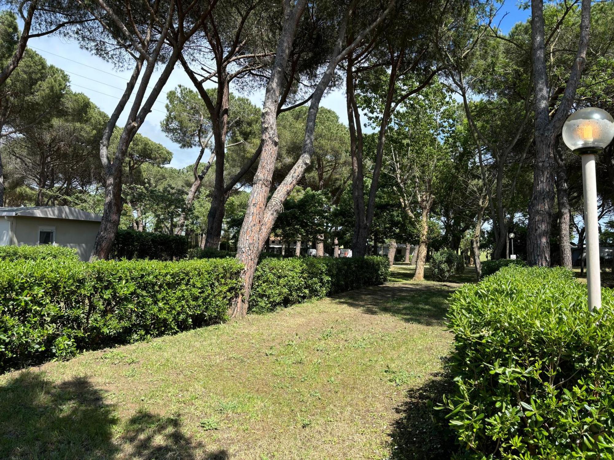 Costa D'Argento - Camping Village Club Capalbio Exterior photo
